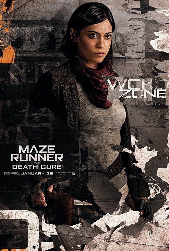 Maze Runner: The Death Cure (DVD) 