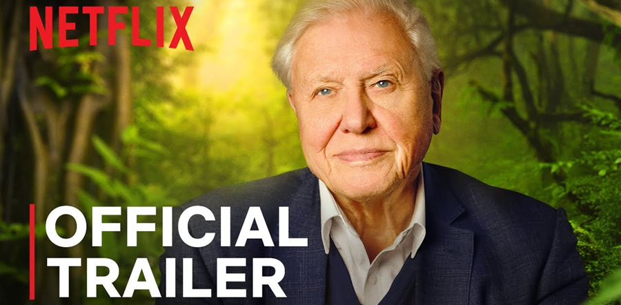 David Attenborough A Life On Our Planet The Dvdfever Review Netflix