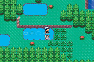 Pokemon Advance